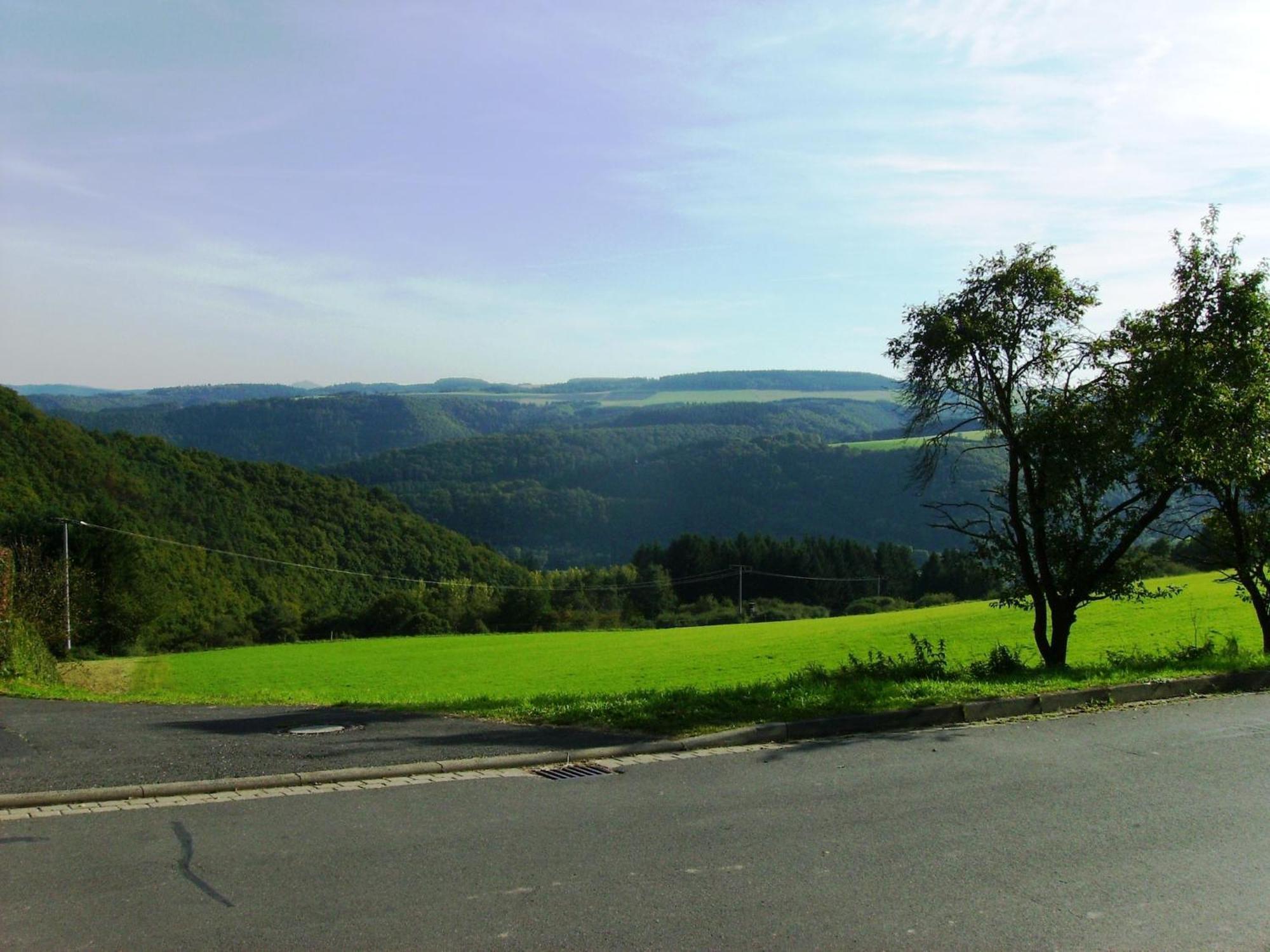 Beautiful Holidayhome With Sauna And Terrace Harscheid Exteriör bild