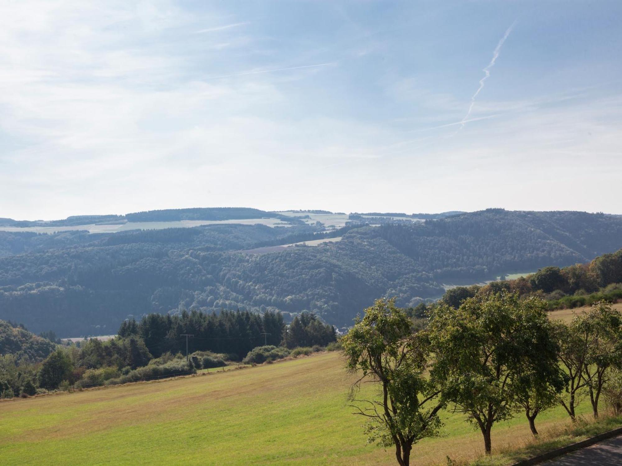Beautiful Holidayhome With Sauna And Terrace Harscheid Exteriör bild